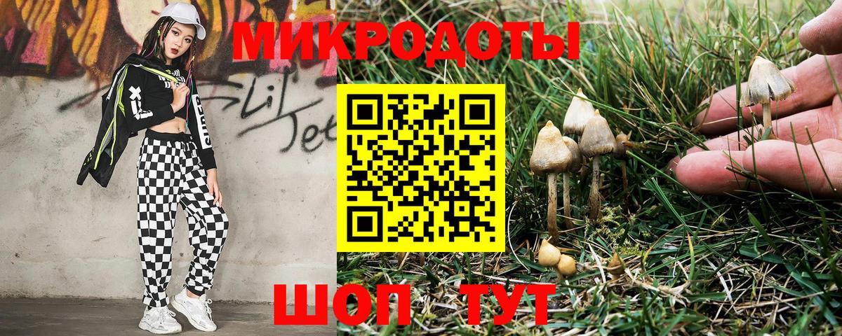Ишимбай  Галлюциногенные грибы Cubensis  Вход с VPN 